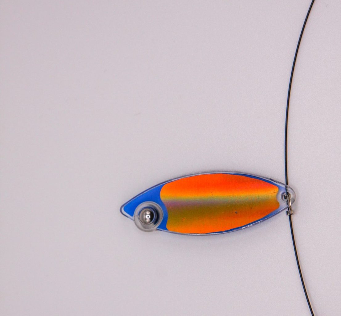 Copper Back Eye Fish Premium Fishing Tackle